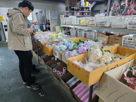 가정의 달 5월, 화훼류 원산지 표시 위반업소 72개소 적발